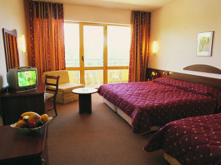 Park Hotel Continental