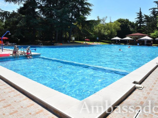 AMBASSADOR (GOLDEN SANDS)