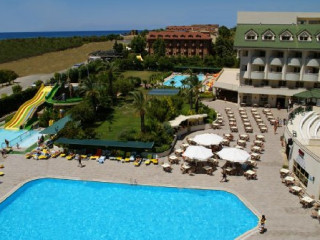 LIONS STUDIO DRISTOR