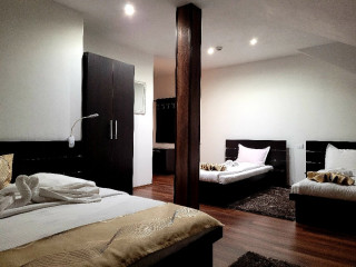 Pensiunea Eco Tim (Moisei)