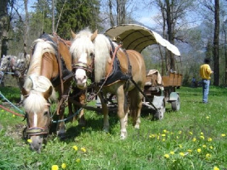 Pension Aigner