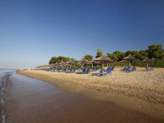 Blue Dolphin Hotel 