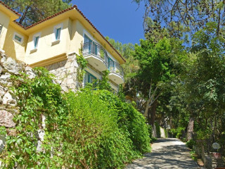 Hotel Monte Beach Resort