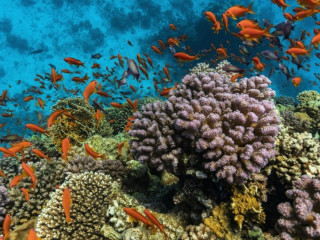 The Cascades Golf Resort Spa And Thalasso 