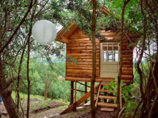 Cabana Transylvania Tree House (Pesteana)