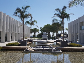 PALOMA FINESSE SIDE.