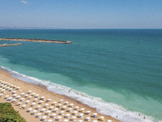 Grifid Foresta - Adults Only 16+