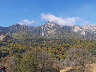 Yael Luxury Apartments