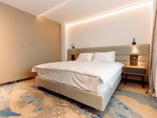 HOTEL ALEXANDRION EXPERIENCE ( fostul New Montana)