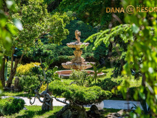 Dana Resort cm