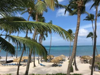 Dreams Palm Beach Punta Cana