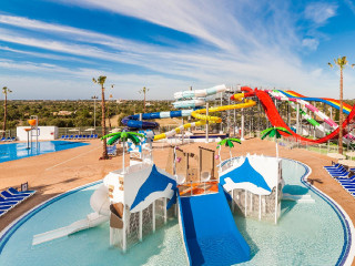 GLOBALES BOUGANVILLA