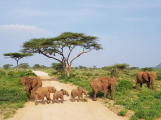 Safari Tsavo East - Tsavo West 2 nopti + Plaja 5 nopti