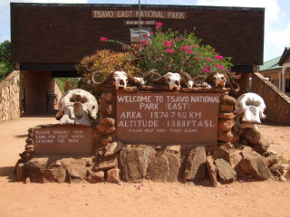 Safari Tsavo East 2 nopti + Plaja 5 nopti