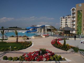 Maya Melissa Garden