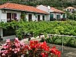 Apartamente private TONCI (Mlini)