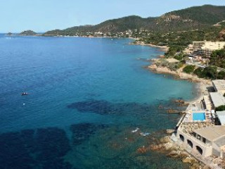 Stella di Mare