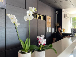 Del Mar Venus (fost Vulturul)