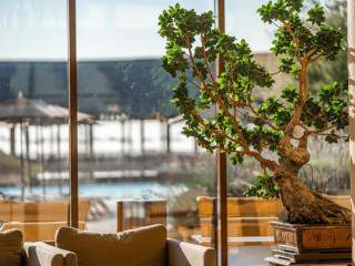 HVD Clubhotel Miramar.