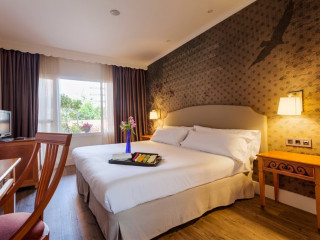 HOTEL FENIX TORREMOLINOS ADULTS ONLY