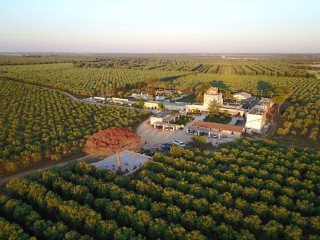 Tenuta Mazzetta