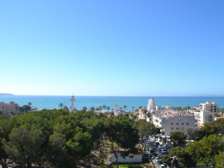 PABISA SOFIA