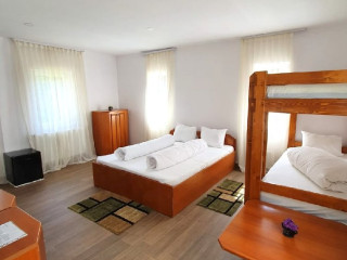 VILE IZVORUL MINUNILOR