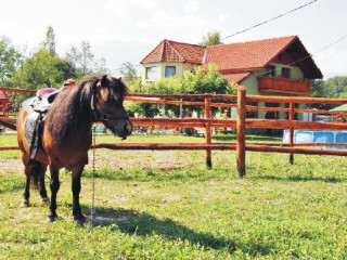 Poiana Avrigului