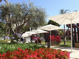 Pure Salt Garonda (Adults Only)