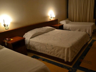 Akropoli Hotel (Golem)