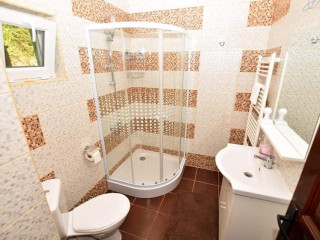 Cabana Poiana Nedi (Ciocotis)