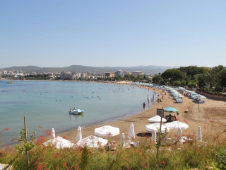 Gold Island Selected