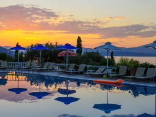 NAUTILUS BARBATI (Barbati) (C)