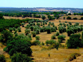 Victor Country Hotel (Alberobello)
