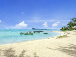 Coin De Mire Attitude