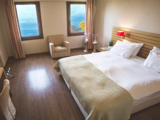 Portaria Hotel and Spa (Pelion / Portaria)