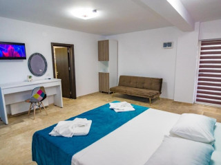 BLUE BORDER VAMA VECHE