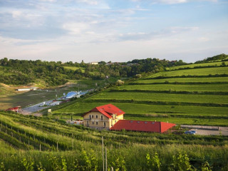 Pensiunea Sarea-n Bucate (Crama la Salina)