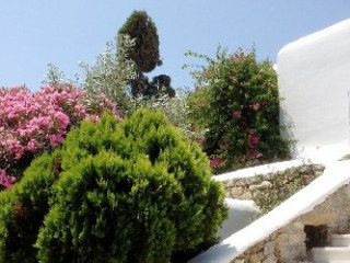 Sea Side Cottage