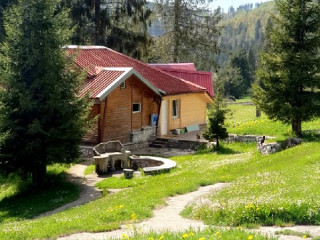 VILE IZVORUL MINUNILOR