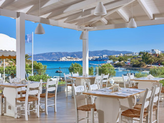 VASIA ORMOS Adults only 15+