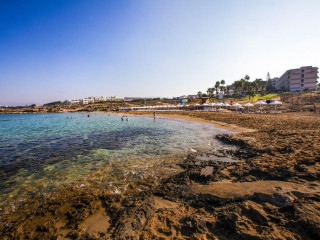 VENUS BEACH