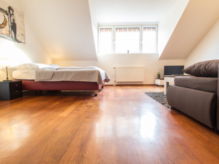 Vienna Star Apartments Davidgasse