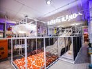 Vignette Collection SINDHORN MIDTOWN HOTEL BANGKOK by IHG