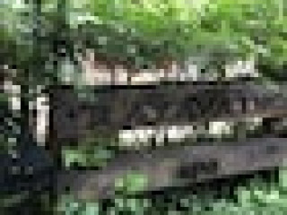Villa Macaque and Villa Languor