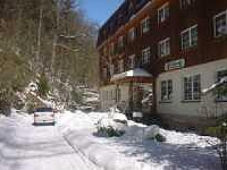 Waldhotel Am Ilsestein