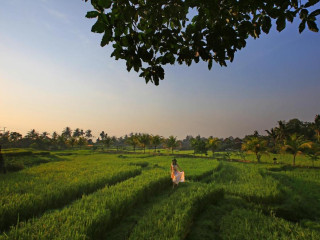 Wapa Di Ume Ubud Resort & Spa