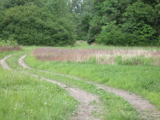 Wein And Schlafgut Kuessler