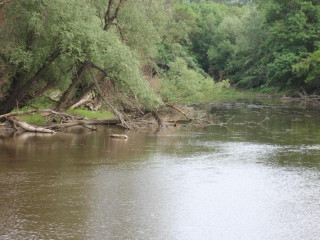 Wein And Schlafgut Kuessler