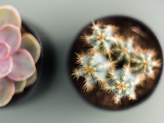 Wyz Attiki Aparthotel